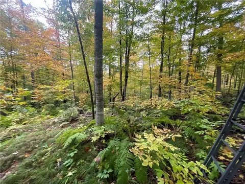 0 Bone Lake Ln, Georgetown, WI 54810 photo 16