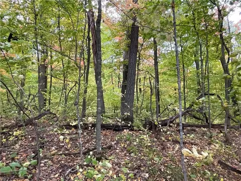 0 Bone Lake Ln, Georgetown, WI 54810 photo 11
