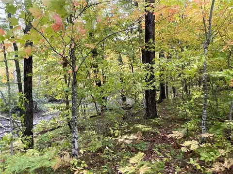 0 Bone Lake Ln, Georgetown, WI 54810 photo 12