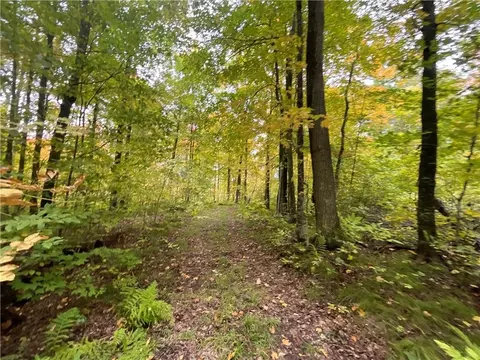 0 Bone Lake Ln, Georgetown, WI 54810 photo 27