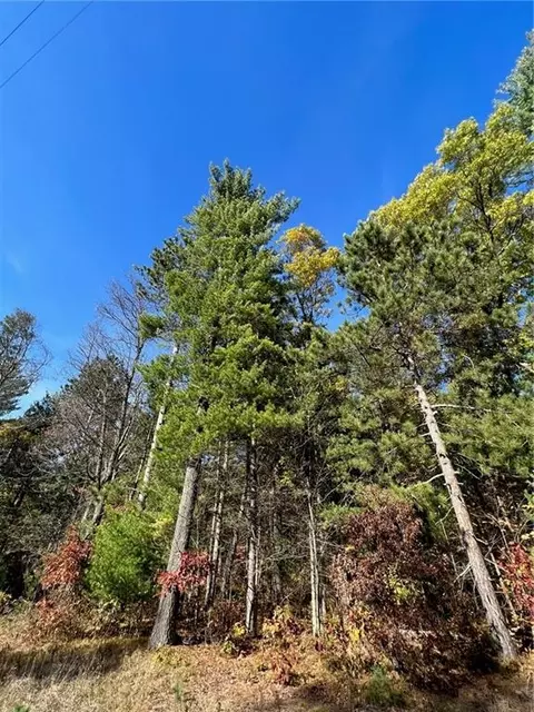 00000 Firefly Ln, Webster, WI 54893 photo 9