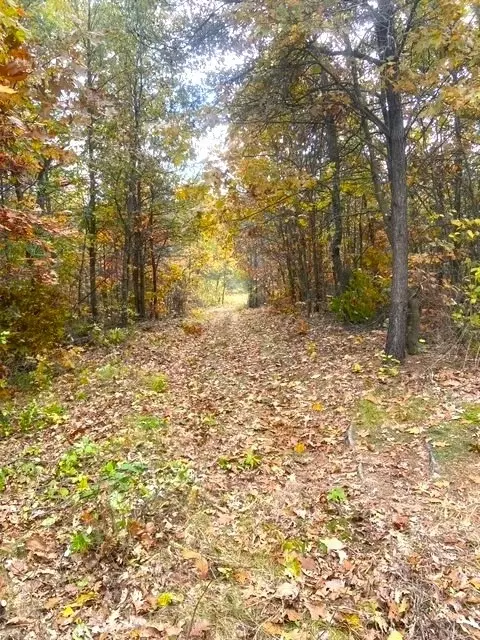 58 87 Acres Nash Rd, Black River Falls, WI 54615