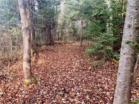 0 Heath Rd, Draper, WI 54896 photo 14