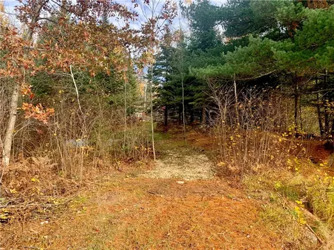 0 Heath Rd, Draper, WI 54896 photo 6