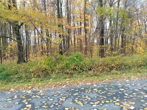 Nnn Tower Ave, Thorp, WI 54771