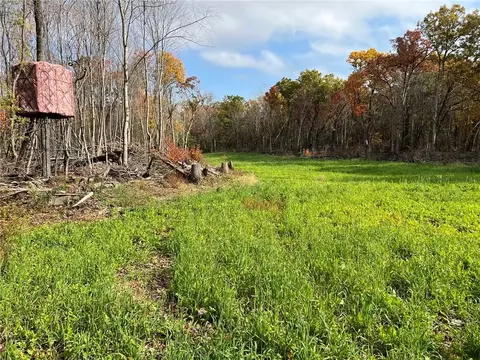0 Lot 1 Squirrel Rd, Hixton, WI 54635