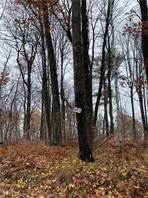 lot5 Eagles Nest Rd, Birchwood, WI 54817