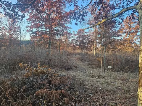 0 Lester Rd, Springbrook, WI 54875 photo 3