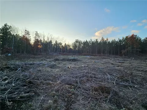 0 Lester Rd, Springbrook, WI 54875 photo 8