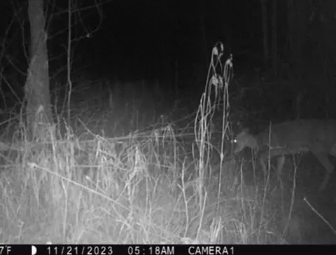 Undisclosed, Winter, WI 54896 photo 28