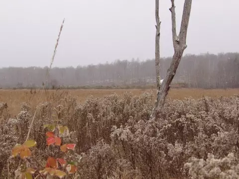Undisclosed, Winter, WI 54896