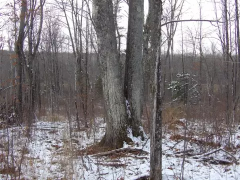 Undisclosed, Winter, WI 54896 photo 13