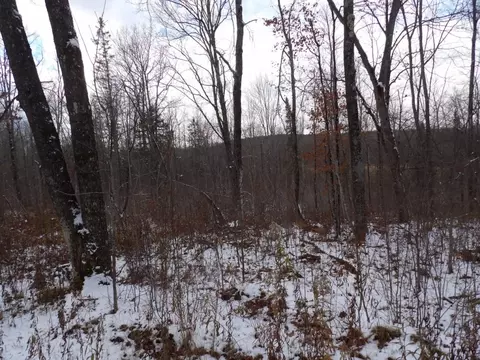 Undisclosed, Winter, WI 54896 photo 9