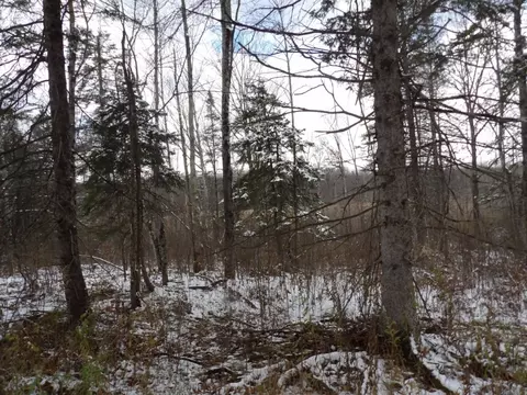 Undisclosed, Winter, WI 54896 photo 5