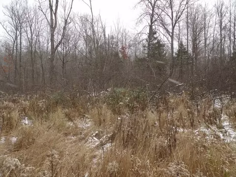 Undisclosed, Winter, WI 54896 photo 18
