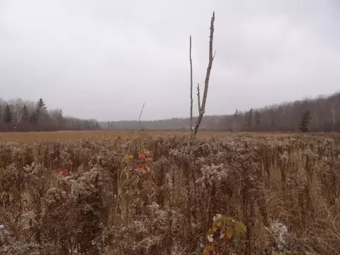 Undisclosed, Winter, WI 54896 photo 16