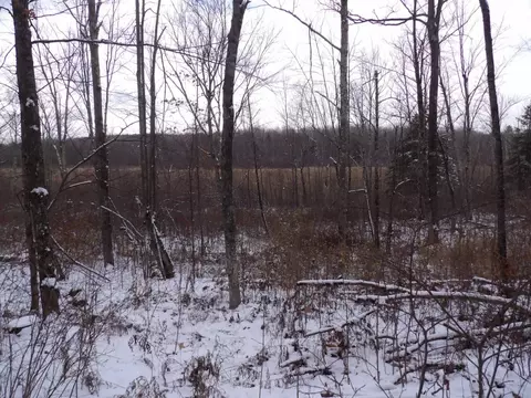 Undisclosed, Winter, WI 54896 photo 6