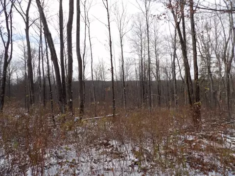 Undisclosed, Winter, WI 54896 photo 14