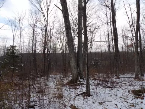 Undisclosed, Winter, WI 54896 photo 12