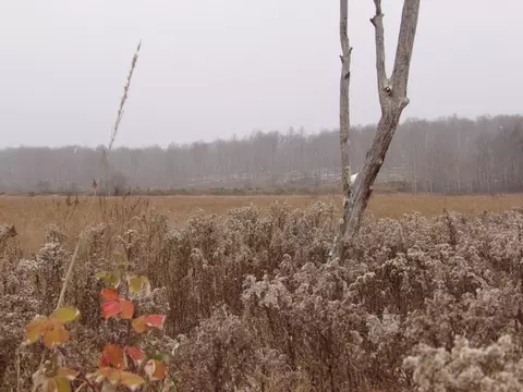 Undisclosed, Winter, WI 54896