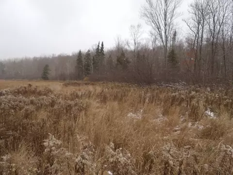Undisclosed, Winter, WI 54896 photo 17