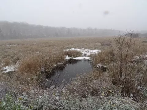 Undisclosed, Winter, WI 54896 photo 23