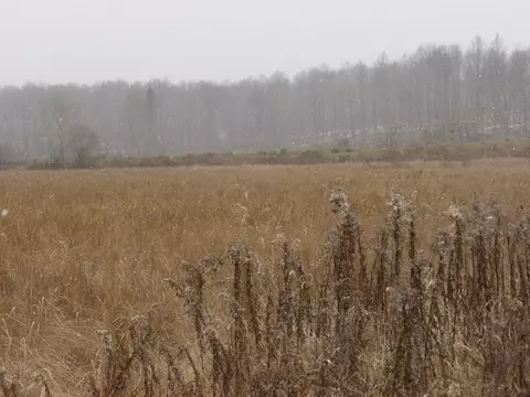 Undisclosed, Winter, WI 54896 photo 21