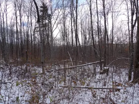 Undisclosed, Winter, WI 54896 photo 11
