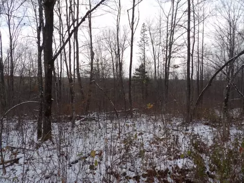 Undisclosed, Winter, WI 54896 photo 10