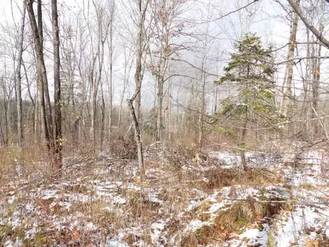 Undisclosed, Winter, WI 54896 photo 15