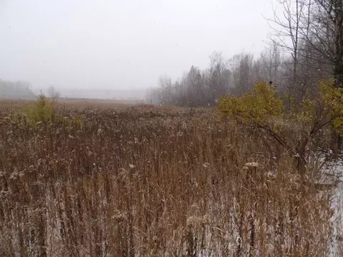 Undisclosed, Winter, WI 54896 photo 22