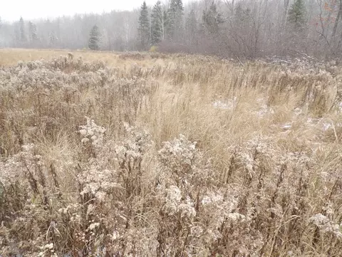 Undisclosed, Winter, WI 54896 photo 19