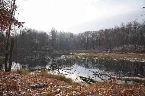 0 County Rd W, Weyerhaeuser, WI 54895 photo 24