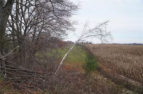 0 County Rd W, Weyerhaeuser, WI 54895 photo 15