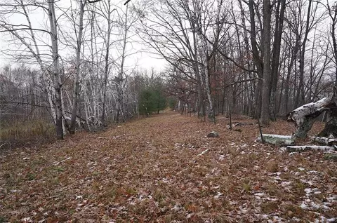 0 County Rd W, Weyerhaeuser, WI 54895 photo 13