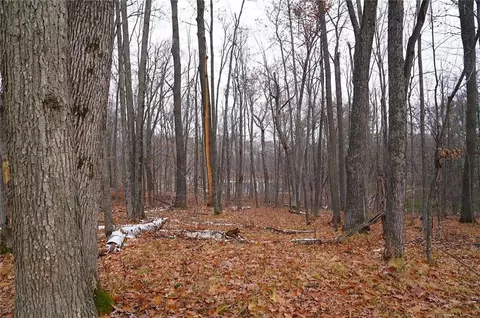 0 County Rd W, Weyerhaeuser, WI 54895 photo 10