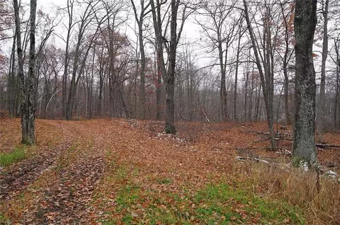 0 County Rd W, Weyerhaeuser, WI 54895 photo 5
