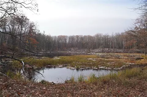 0 County Rd W, Weyerhaeuser, WI 54895 photo 23