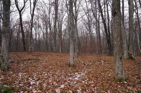 0 County Rd W, Weyerhaeuser, WI 54895 photo 18