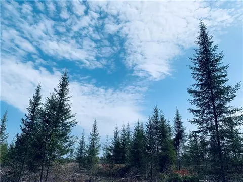 N/a Cth M, Springbrook, WI 54875