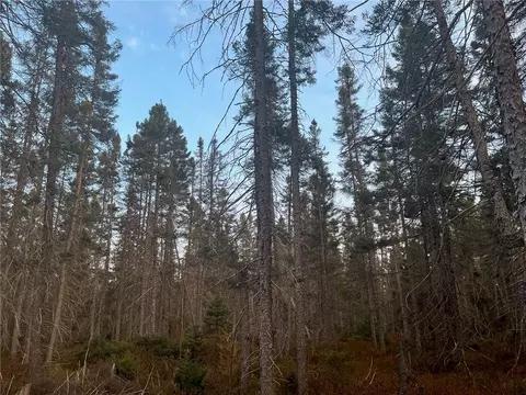 N/a Line Rd, Bennett, WI 54873 photo 8
