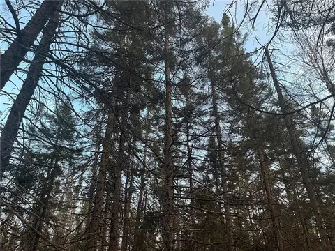N/a Line Rd, Bennett, WI 54873