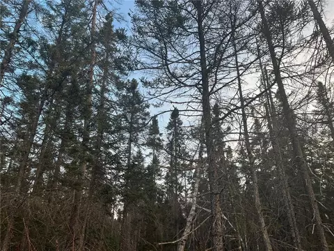 N/a Line Rd, Bennett, WI 54873 photo 6