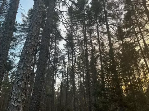 N/a Line Rd, Bennett, WI 54873 photo 9