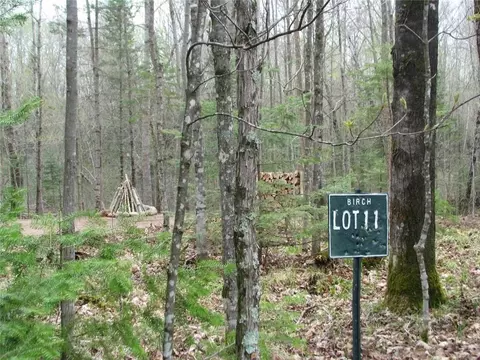 lot S 1112 Allison Pl, Birchwood, WI 54817