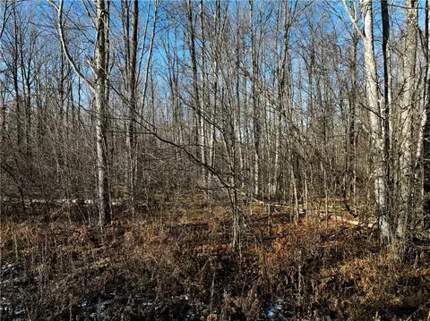 9094 W Scout Trl, Ojibwa, WI 54862