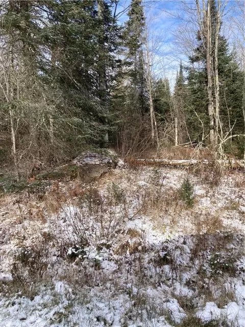 45 W Nn W Clover Rd N, Winter, WI 54896