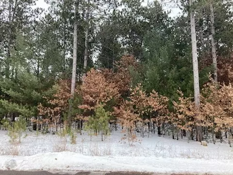 Lot 90 St. Andrews Park, Eau Claire, WI 54703