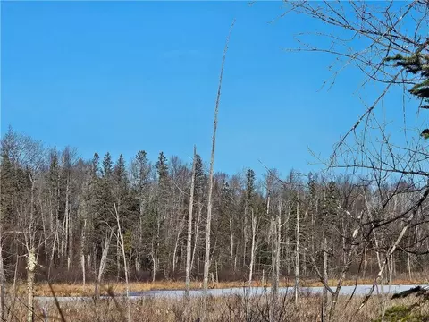 8874 W River Rd, Ojibwa, WI 54862