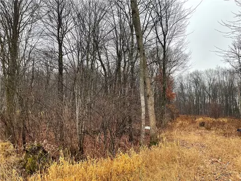 0 160th Ave, Bloomer, WI 54724 photo 3